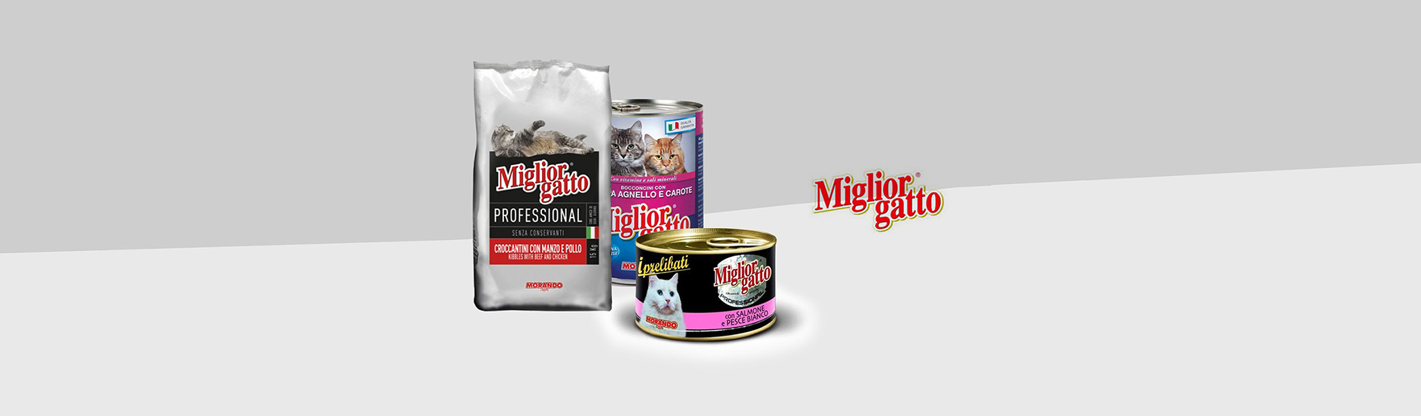 lorem ipsum dolor sit